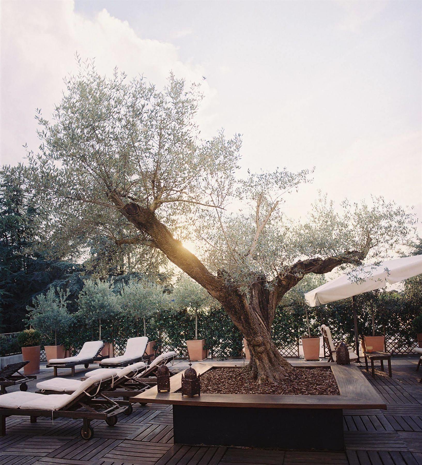 Hotel Terme Monticelli Terme Exterior foto